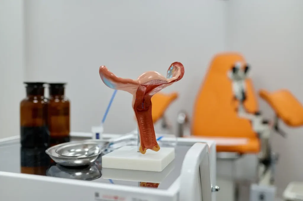 Incontinencia urinaria: tipos, diagnóstico y tratamientos que debes conocer 3 Incontinencia urinaria femme-ginecologia-quito